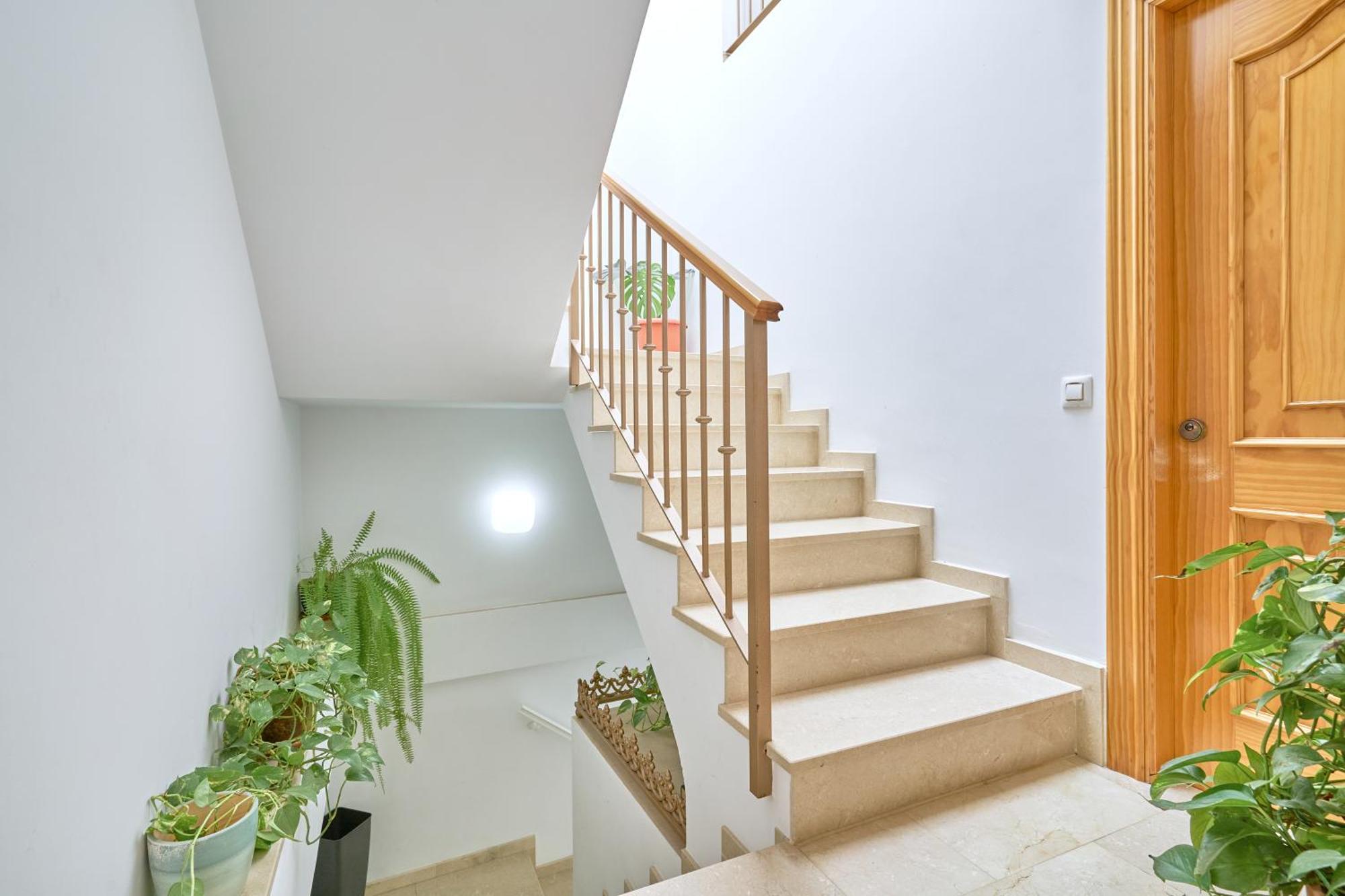 Apartamento Fernandita Nerja Dış mekan fotoğraf